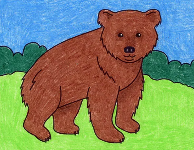 bear drawing