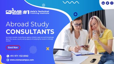 Abroad Study Consultants in Delhi