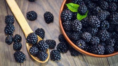 What are Blackberries Used For Your Health?