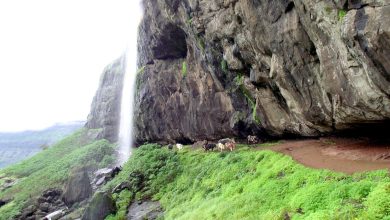 Harishchandragad Trek