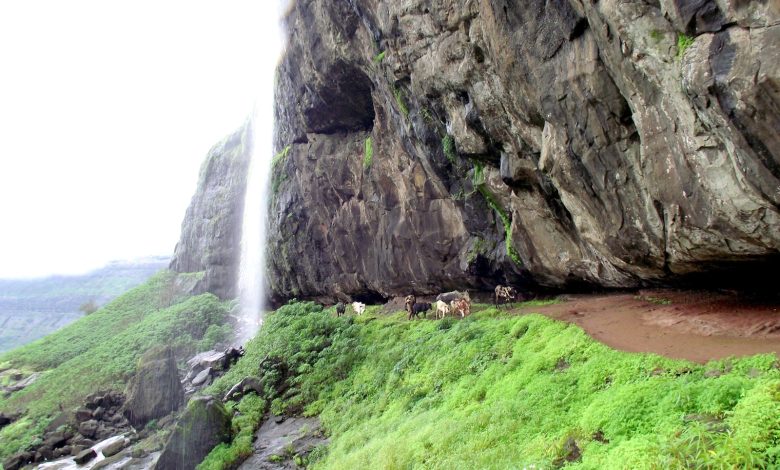 Harishchandragad Trek