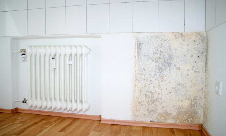 PVC Wall Coverings: A Decorative Solution to Damp Walls