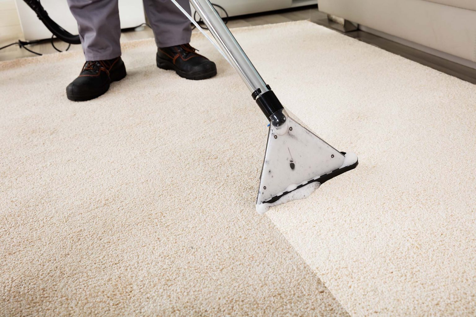 Carpet Cleaning service