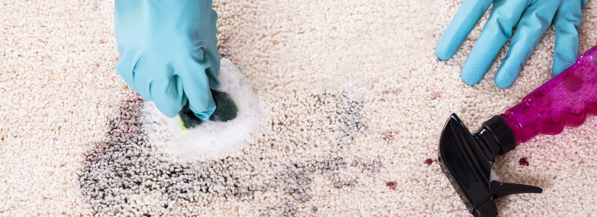 Carpet cleaning near me