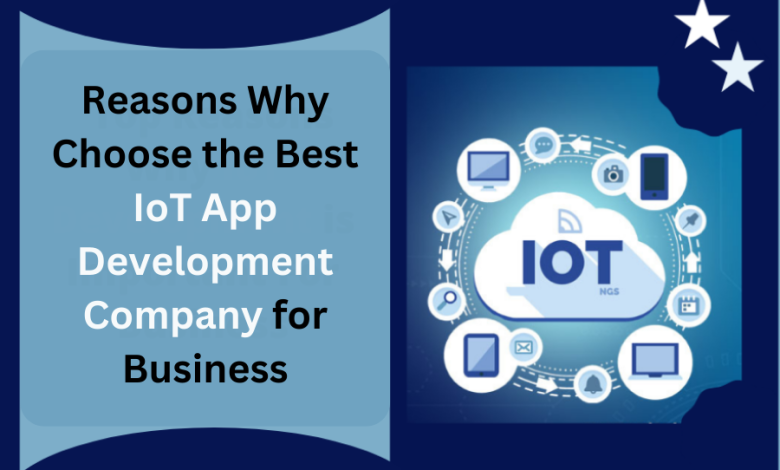 IoT development company