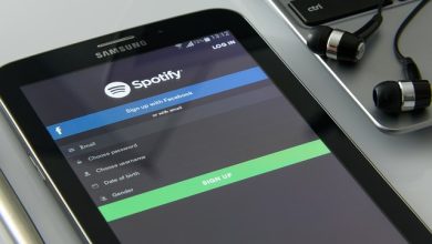 Buy Spotify Plays and Followers