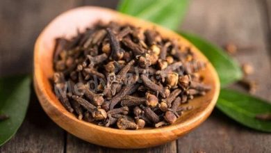 A Description Of The Medical Benefits Of Cloves