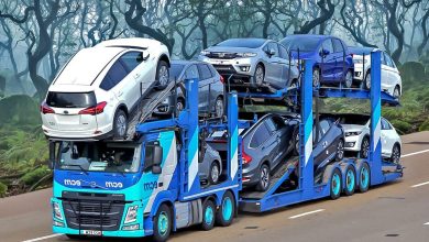 Professional Car Transportation in India