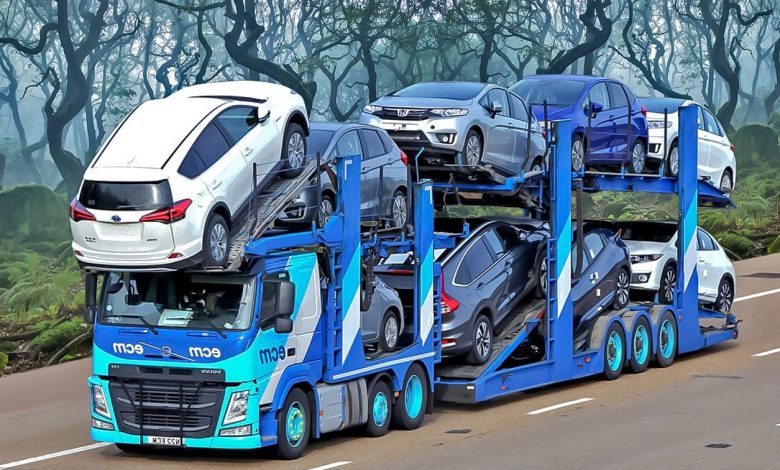 Professional Car Transportation in India