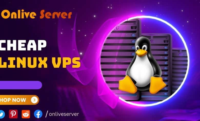 Cheap Linux VPS Hosting