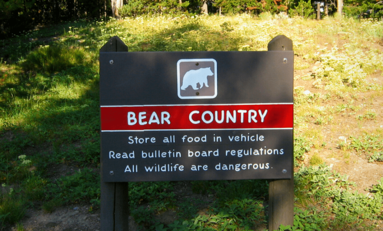 keep bears away from your campsite